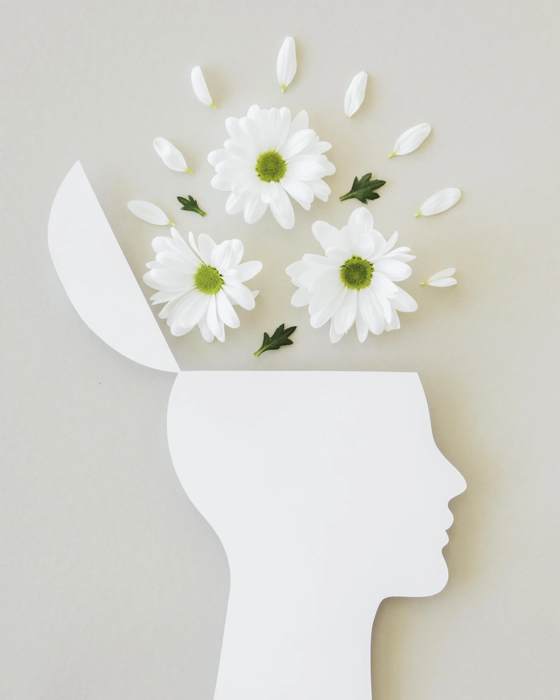 Psicoterapia individuale a Torino: testa di carta da cui nascono fiori bianchi